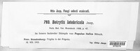 Image of Botrytis latebricola